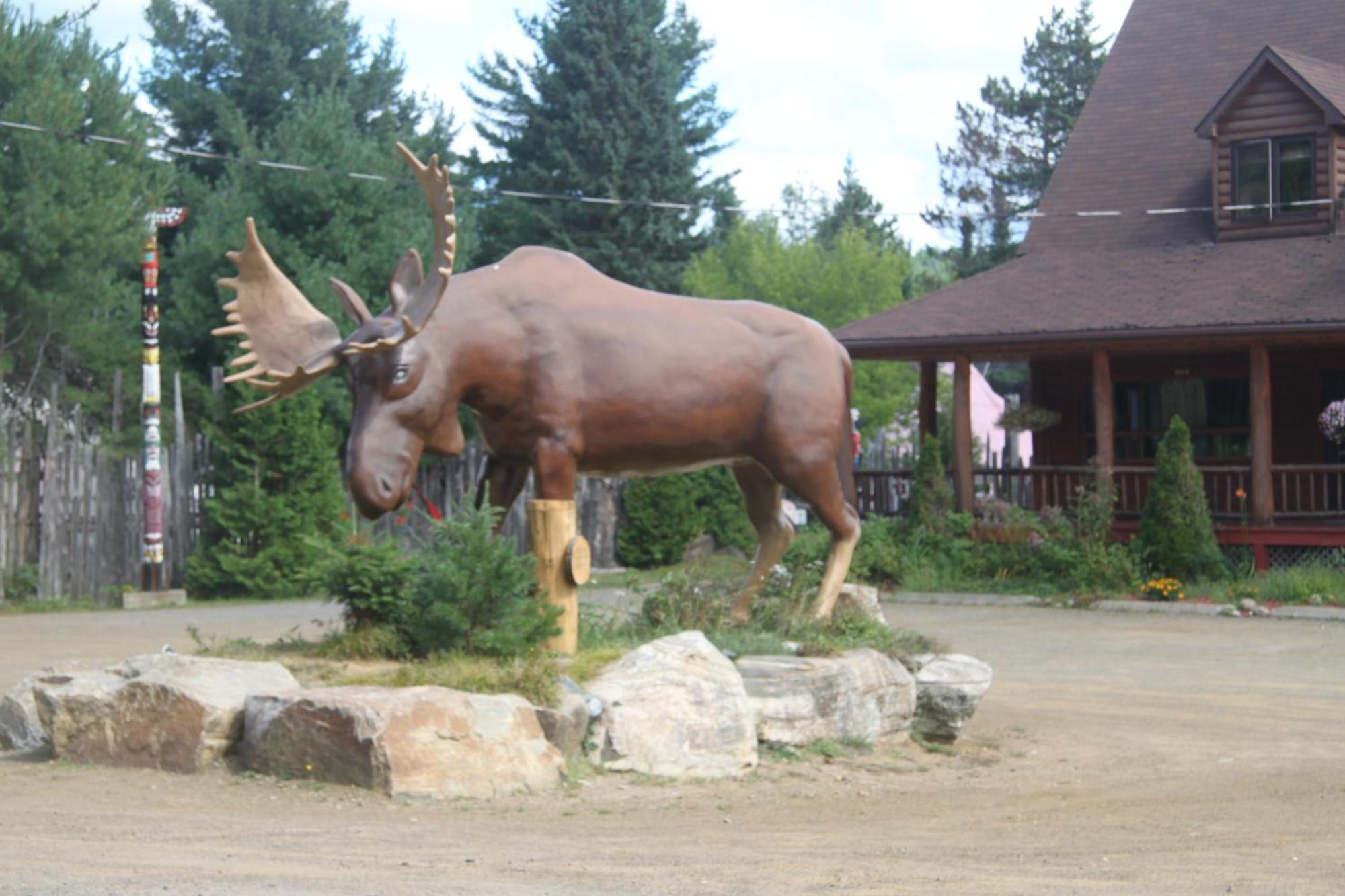 L'Auberge Refuge Du Trappeur Saint-Mathieu-du-Parc Exterior foto